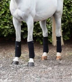 Horse Polo Fleece Bandages -Premier Equine Store 3203