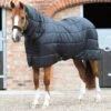 350g Combo Horse Rug Liner 1 350g Combo Horse Rug Liner -Premier Equine Store 350g combo horse rug liner 206535050 546225