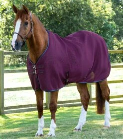 Airflow Cooler Rug -Premier Equine Store Airflow Cooler Rug Burgundy 1