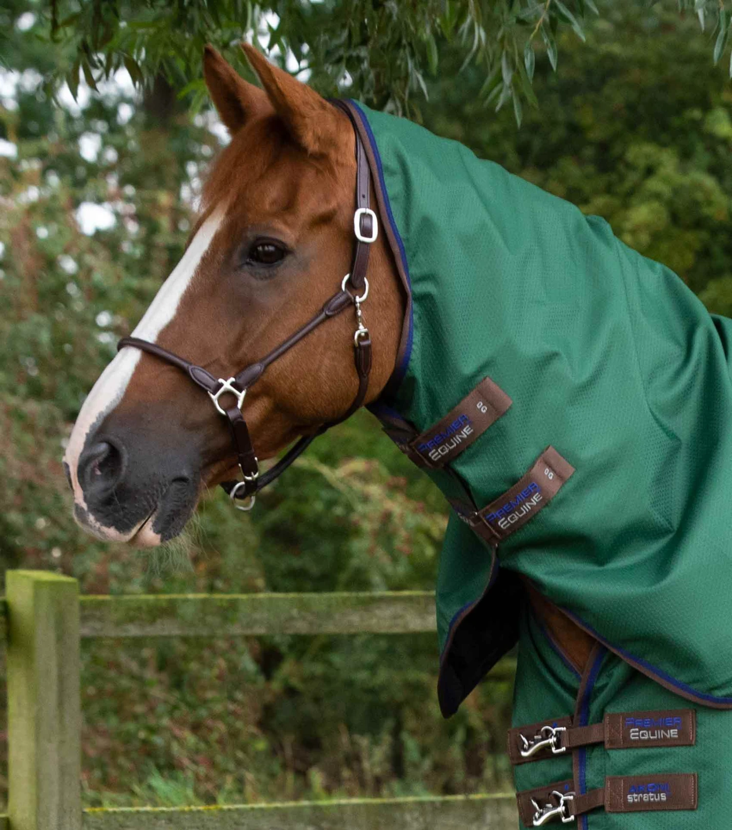Akoni 0g Classic Neck Cover (0g Fill) Akoni 0g Classic Neck Cover (0g Fill) -Premier Equine Store Akoni Stratus 0g Green 2 1fe61873 cb8b 4059 9074 31b529a968e1