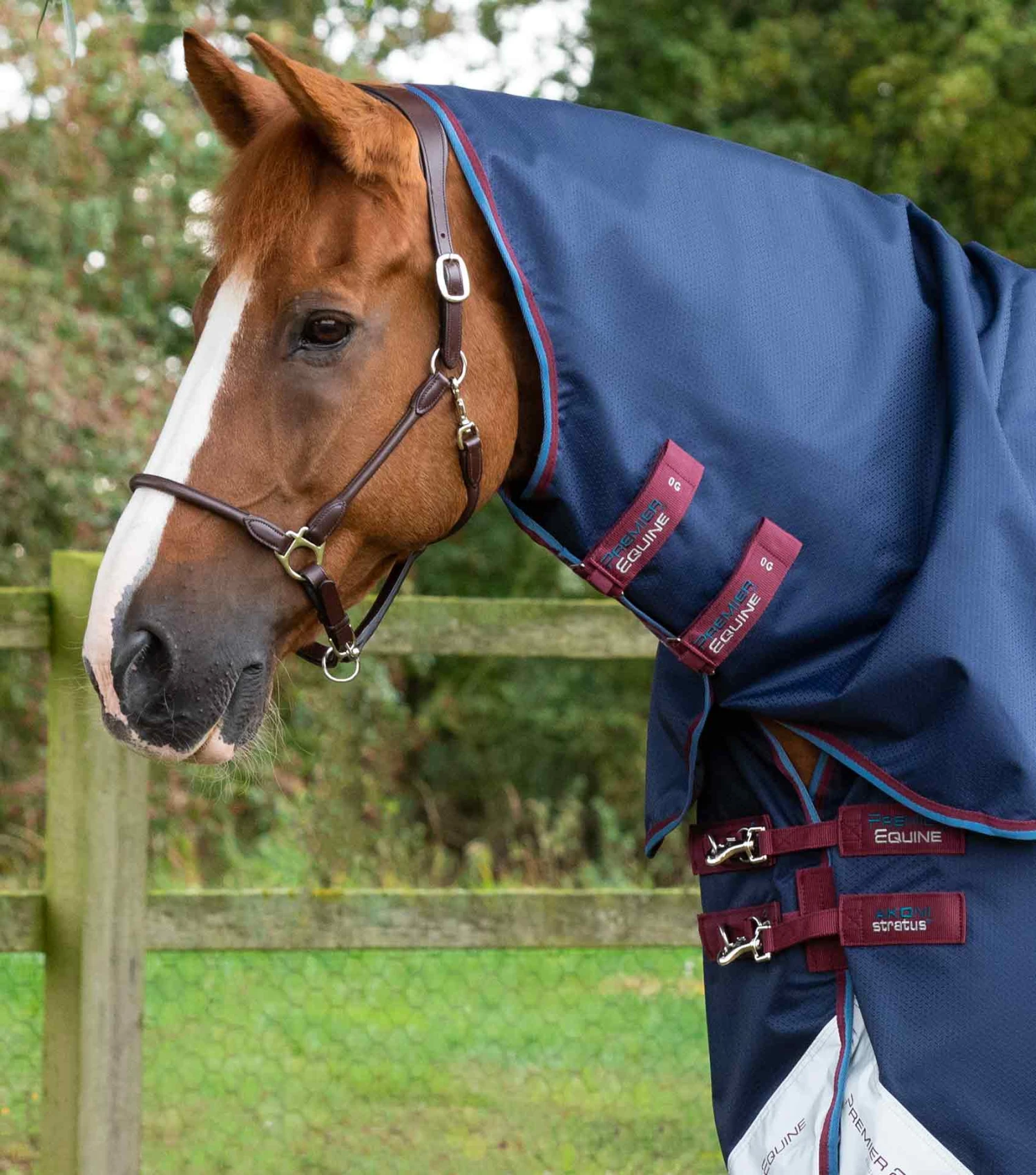 Akoni 0g Turnout Rug with Classic Neck Cover Akoni 0g Turnout Rug With Classic Neck Cover -Premier Equine Store Akoni Stratus 0g Navy 2