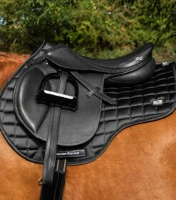 Alberta CC Satin GP/Jump Square -Premier Equine Store Alberta GP Jump Saddle Pad Black 8 1822434d 9d35 43bc ab59 21ca71e1cfcb