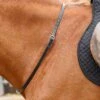 Altino Horse Neck Strap