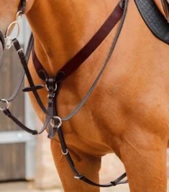 Baressa Elastic Jumping Breastplate -Premier Equine Store Baressa Elastic Jumping Breastplate Brown 1 e2e8c8d1 26da 4fc6 9037 5a6864eff753