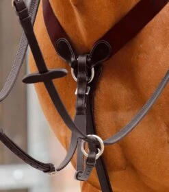 Baressa Elastic Jumping Breastplate -Premier Equine Store Baressa Elastic Jumping Breastplate Brown 3 ab2ccccd 6ad1 471b 8996 4979eed5254e