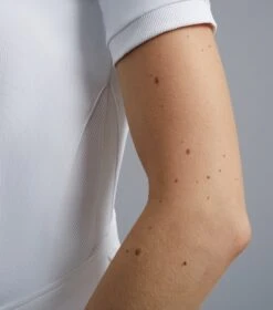 Bellisa Ladies Show Shirt 5 Bellisa Ladies Show Shirt -Premier Equine Store Bellissa Shirt White 4