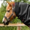 Buster 100g Turnout Rug Neck Cover (100g Fill) -Premier Equine Store Buster 100 Turnout Rug Black 3 c95d8030 127d 4ff8 bfea e4e3fc85dff4