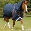 Buster 100g Turnout Rug With Snug-Fit Neck Cover 2 Buster 100g Turnout Rug With Snug-Fit Neck Cover -Premier Equine Store Buster 100 Turnout Rug Navy 1
