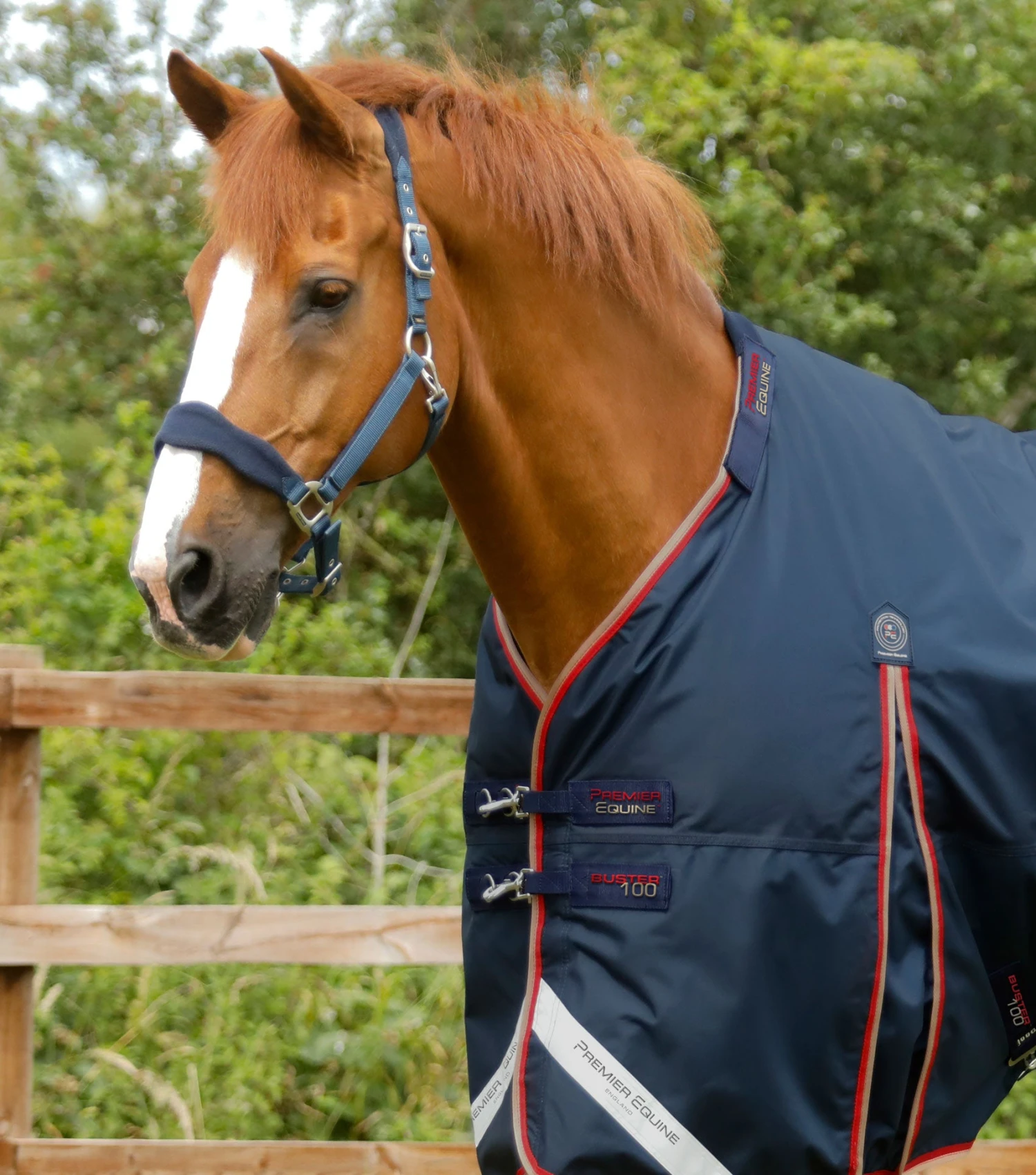 Buster 100g Turnout Rug with Snug-Fit Neck Cover Buster 100g Turnout Rug With Snug-Fit Neck Cover -Premier Equine Store Buster 100 Turnout Rug Navy 2