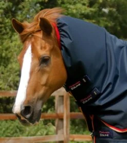 Buster 100g Turnout Rug With Snug-Fit Neck Cover 4 Buster 100g Turnout Rug With Snug-Fit Neck Cover -Premier Equine Store Buster 100 Turnout Rug Navy 3 2fb07548 057b 4337 9bb1 c60246c783e4