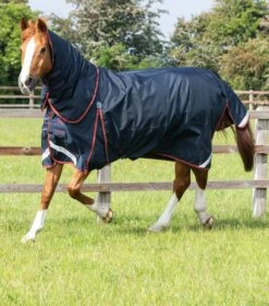 Buster 150g Turnout Rug With Classic Neck Cover