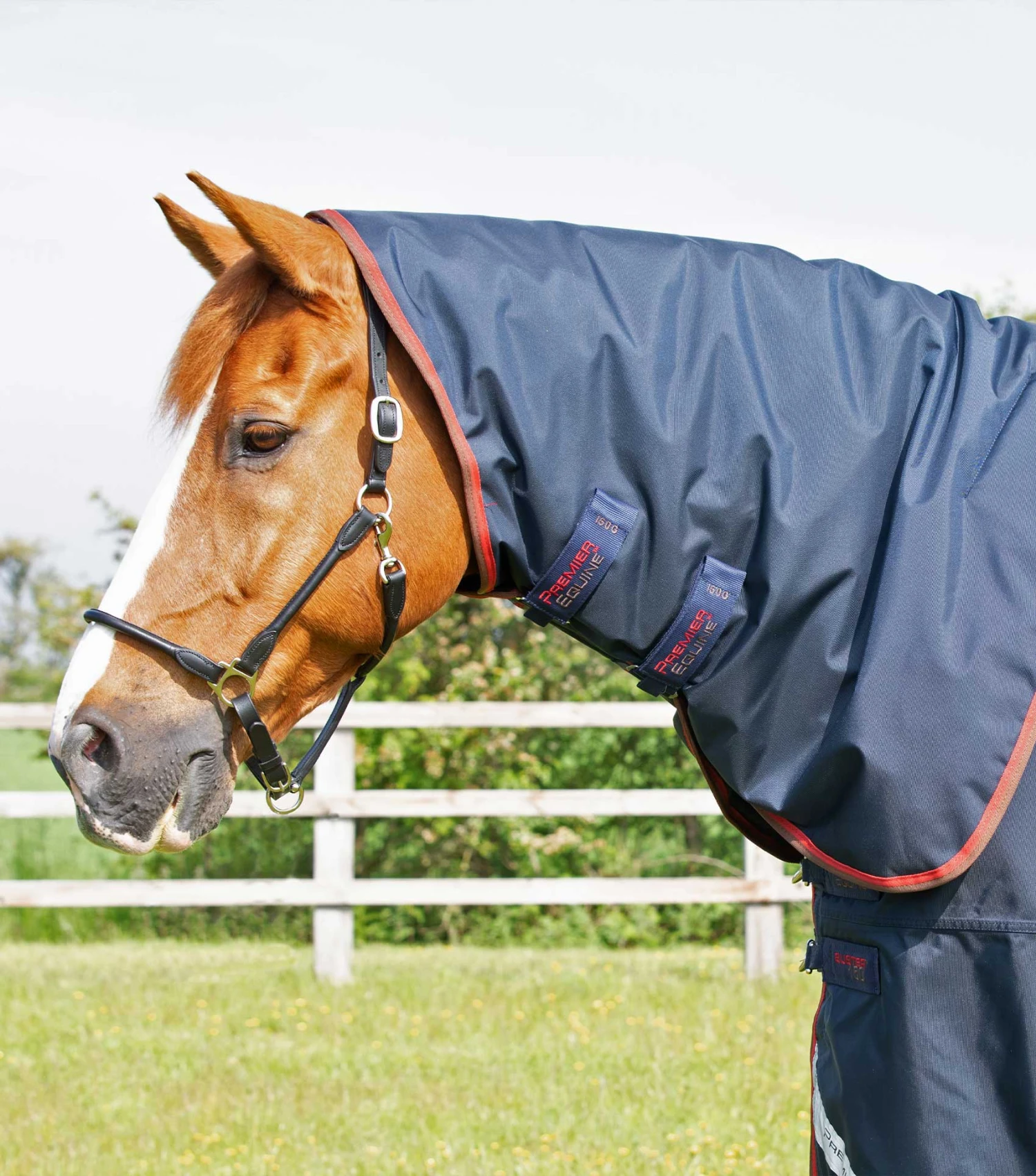 Buster 150g Turnout Rug with Classic Neck Cover Buster 150g Turnout Rug With Classic Neck Cover -Premier Equine Store Buster 150 Navy 2