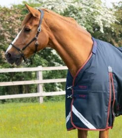 Buster 150g Turnout Rug With Classic Neck Cover 4 Buster 150g Turnout Rug With Classic Neck Cover -Premier Equine Store Buster 150 Navy 3