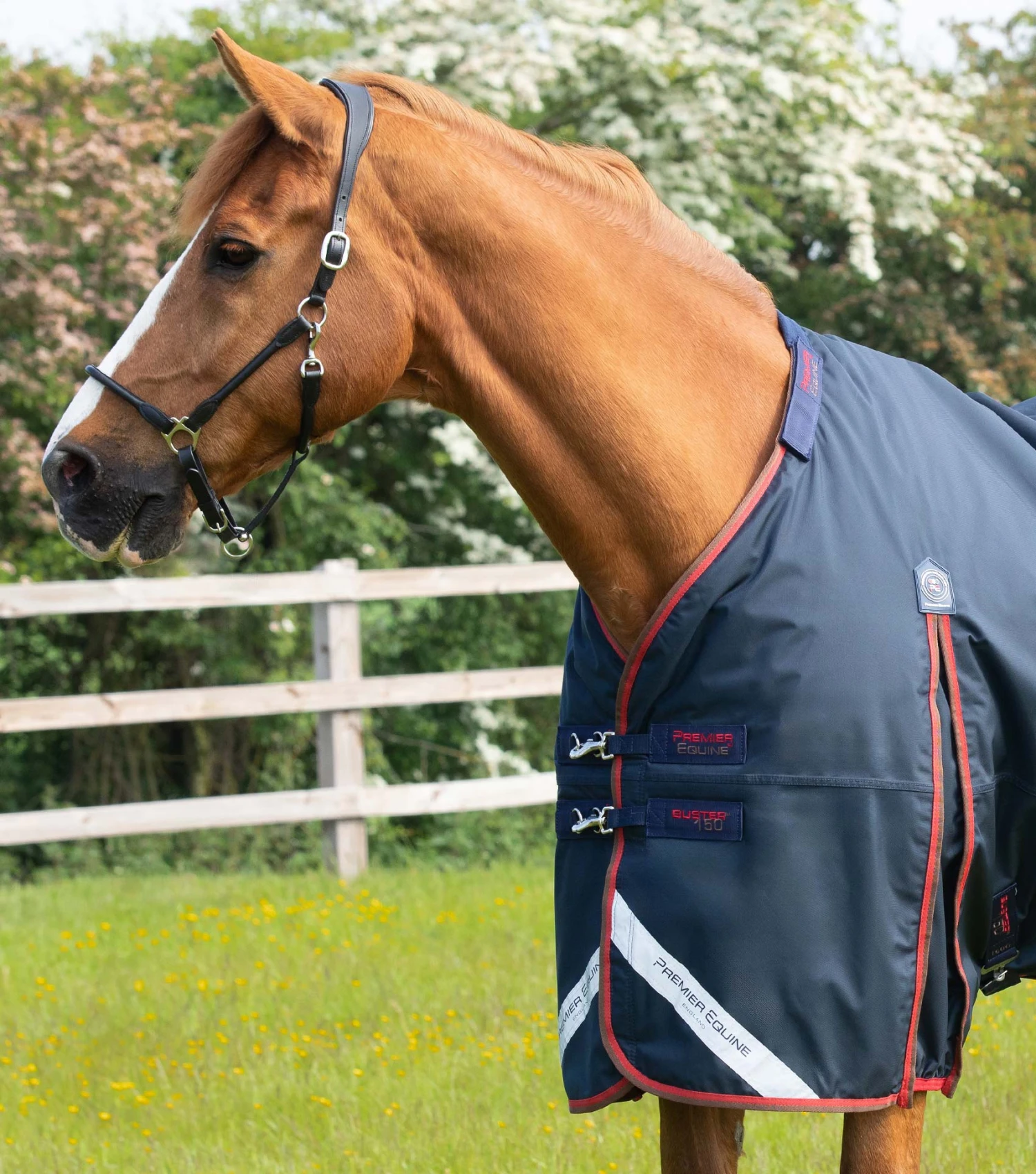 Buster 150g Turnout Rug with Classic Neck Cover Buster 150g Turnout Rug With Classic Neck Cover -Premier Equine Store Buster 150 Navy 3