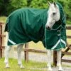 Buster 200g Turnout Rug With Snug-Fit Neck Cover -Premier Equine Store Buster 200 Turnout Rug Green 1