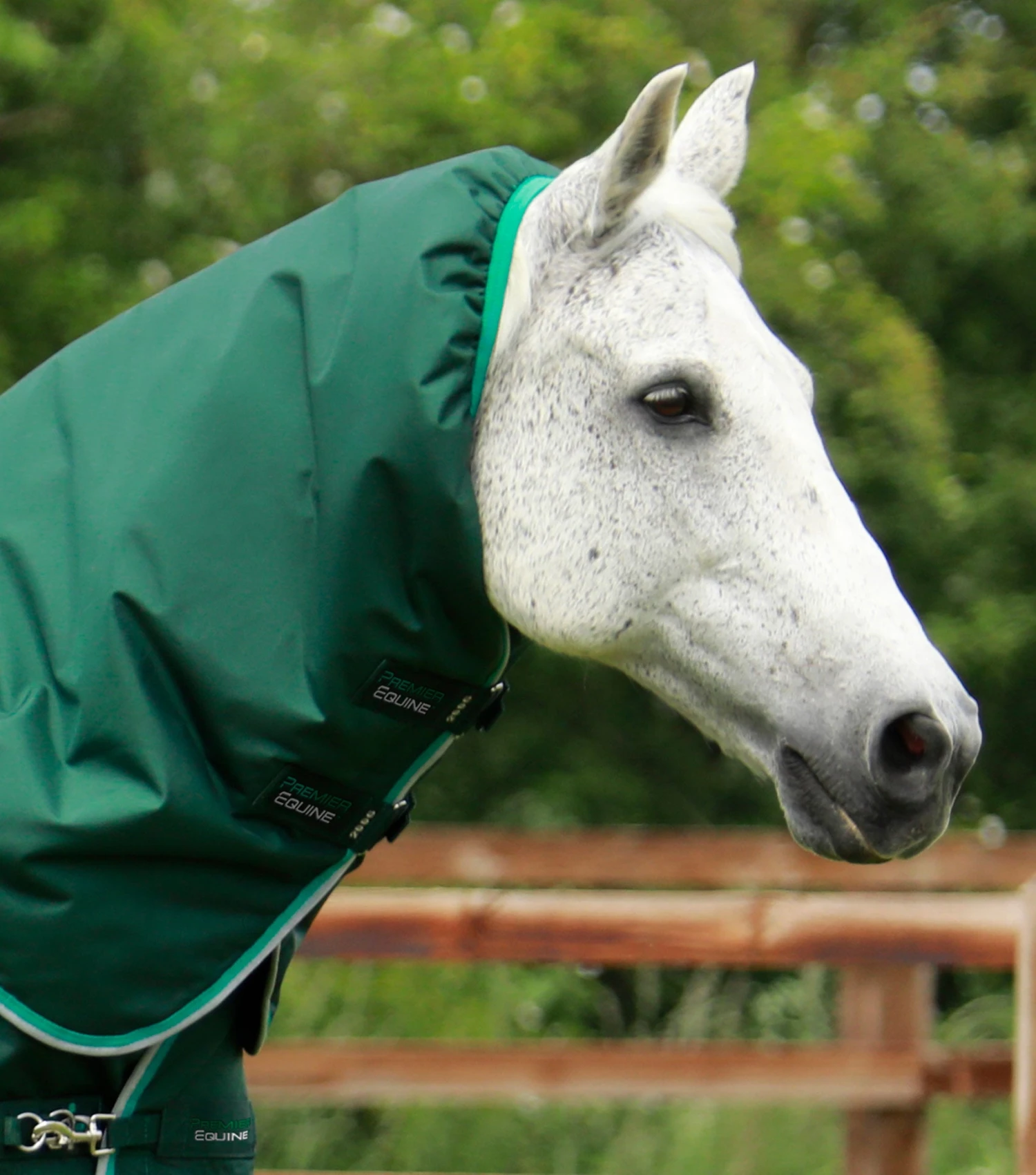 Buster 200g Turnout Rug Neck Cover (200g Fill) Buster 200g Turnout Rug Neck Cover (200g Fill) -Premier Equine Store Buster 200 Turnout Rug Green 2