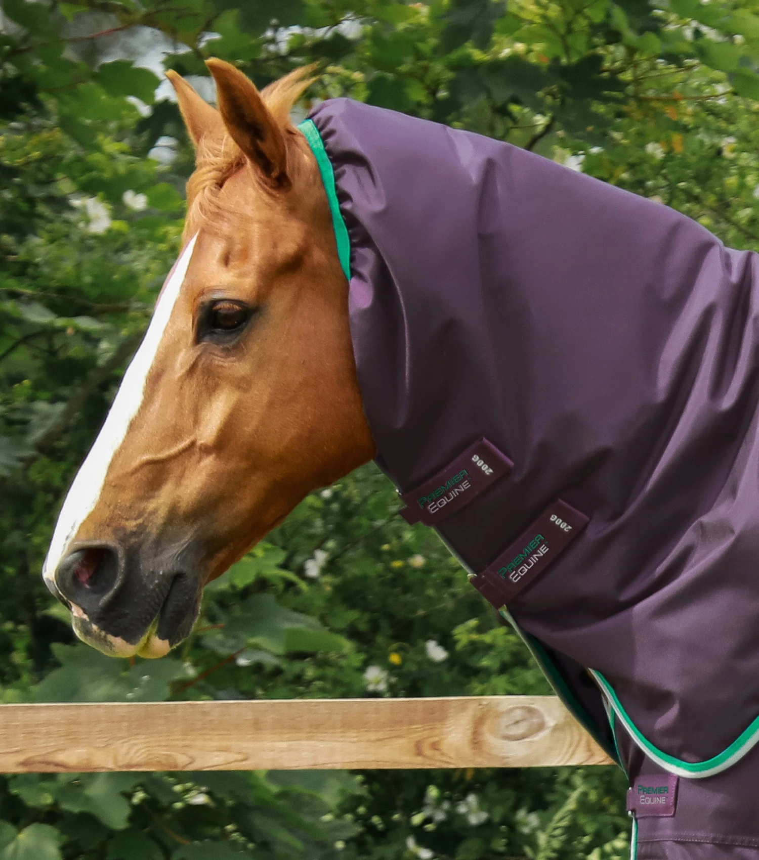 Buster 200g Turnout Rug Neck Cover (200g Fill) Buster 200g Turnout Rug Neck Cover (200g Fill) -Premier Equine Store Buster 200 Turnout Rug Purple 3