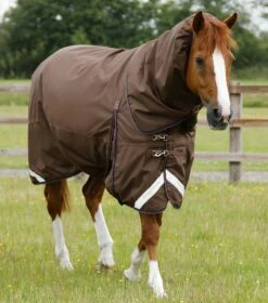 Buster 400g Turnout Rug With Snug-Fit Neck Cover