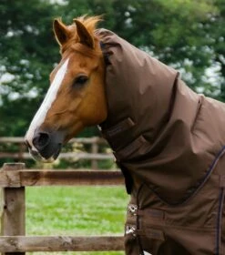 Buster 400g Turnout Rug With Snug-Fit Neck Cover -Premier Equine Store Buster 400 Turnout Rug Brown 3