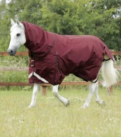 Buster 400g Turnout Rug With Snug-Fit Neck Cover -Premier Equine Store Buster 400 Turnout Rug Burgundy 1