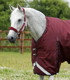 Buster 400g Turnout Rug With Snug-Fit Neck Cover -Premier Equine Store Buster 400 Turnout Rug Burgundy 2