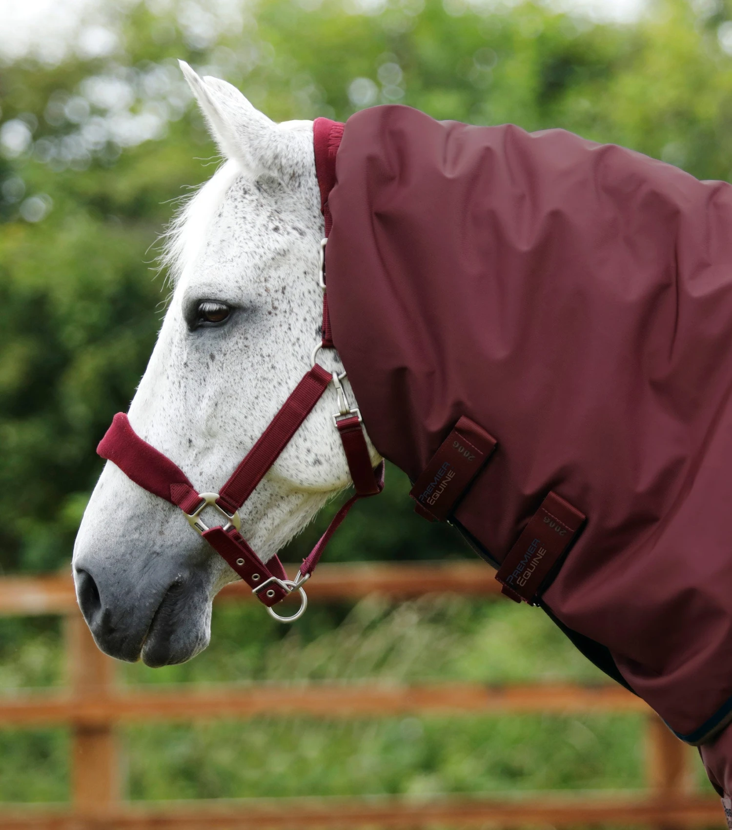 Buster 400g Turnout Rug Neck Cover (200g Fill) Buster 400g Turnout Rug Neck Cover (200g Fill) -Premier Equine Store Buster 400 Turnout Rug Burgundy Neck 1