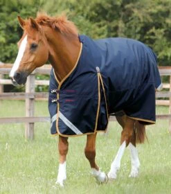 Buster 50g Original Turnout Rug