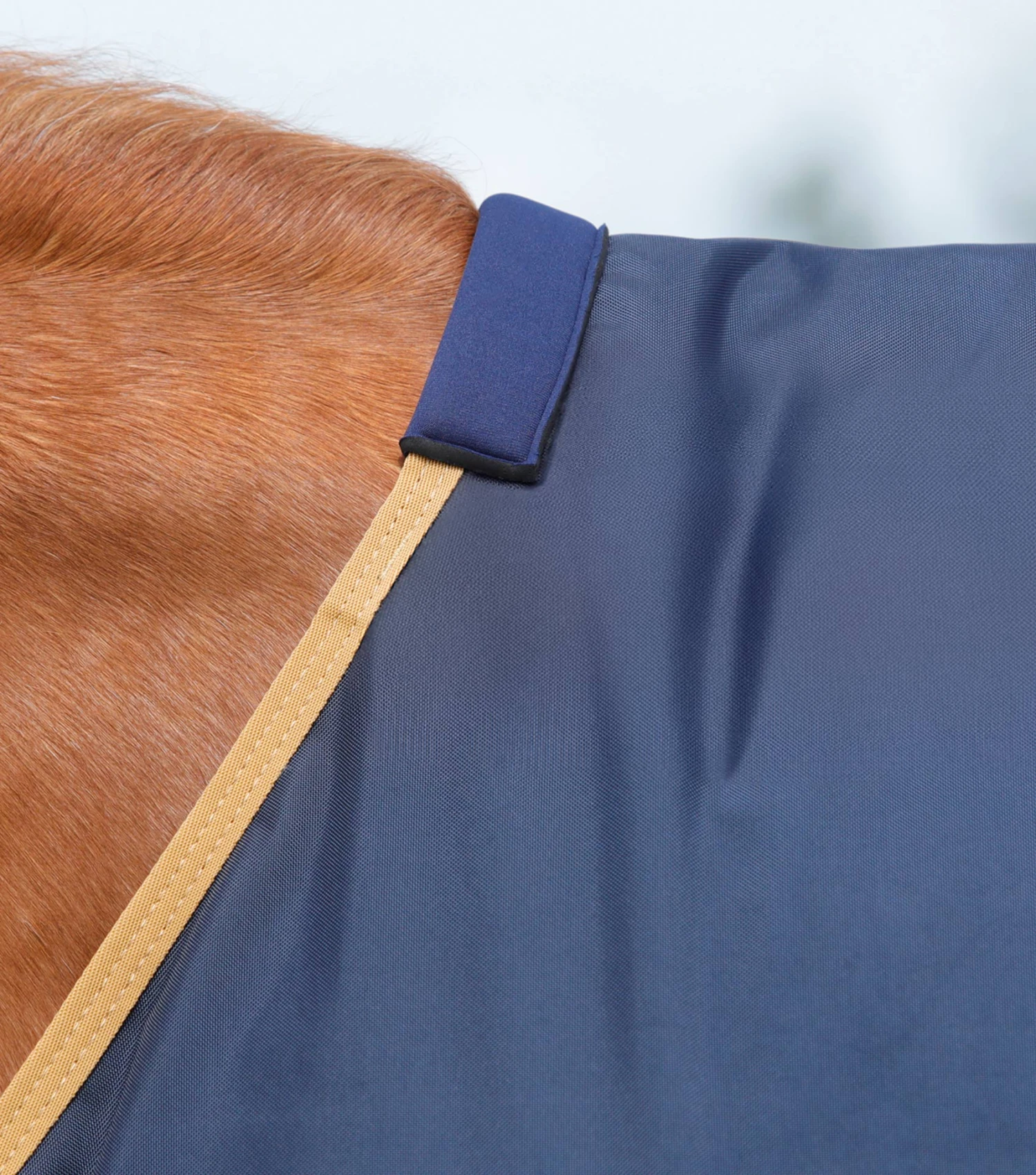 Buster 50g Original Turnout Rug Buster 50g Original Turnout Rug -Premier Equine Store Buster 50 Original Turnout Rug Navy 2