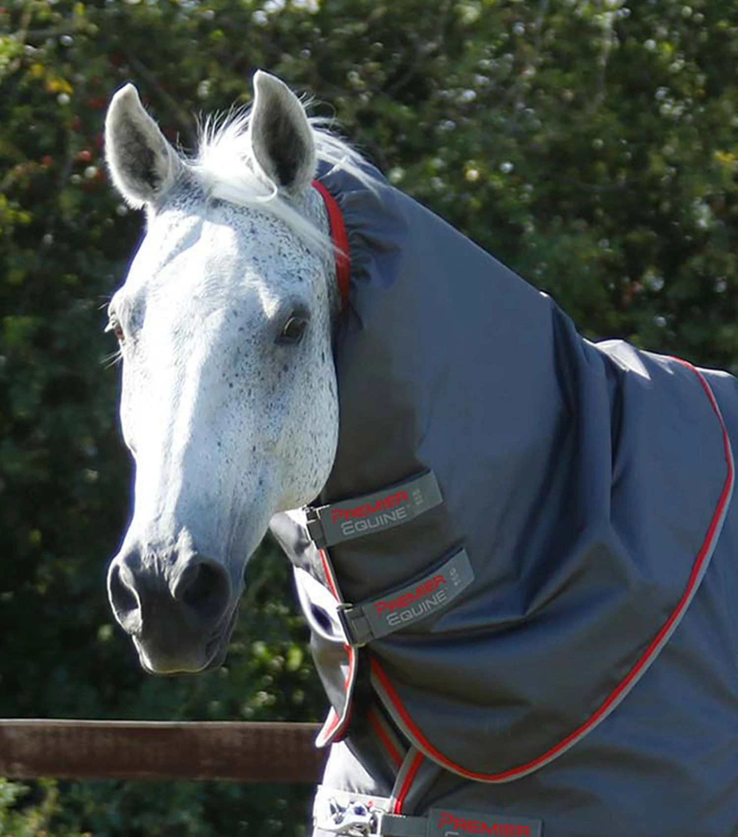 Buster 50g Turnout Rug Neck Cover (50g Fill) Buster 50g Turnout Rug Neck Cover (50g Fill) -Premier Equine Store Buster 50 Turnout Rug Grey 3 1054ffd4 4d79 4653 92a5 6078601b70ce