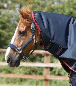 Buster 50g Turnout Rug With Snug-Fit Neck Cover -Premier Equine Store Buster 50 Turnout Rug Navy 3