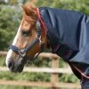 Buster 50g Turnout Rug Neck Cover (50g Fill) 2 Buster 50g Turnout Rug Neck Cover (50g Fill) -Premier Equine Store Buster 50 Turnout Rug Navy 3 0d5ba0c9 9f42 4225 8865 dc6f4d2db540