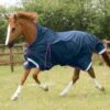 Buster Hardy 0g Half Neck Turnout Rug -Premier Equine Store Buster Hardy 0 Turnout Rug Navy 1 39e89753 0e5e 477f 829c 1b44cae20981