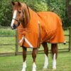Buster Hardy 400g Half Neck Turnout Rug 1 Buster Hardy 400g Half Neck Turnout Rug -Premier Equine Store Buster Hardy Burnt Orange 1