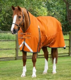 Buster Hardy 400g Half Neck Turnout Rug