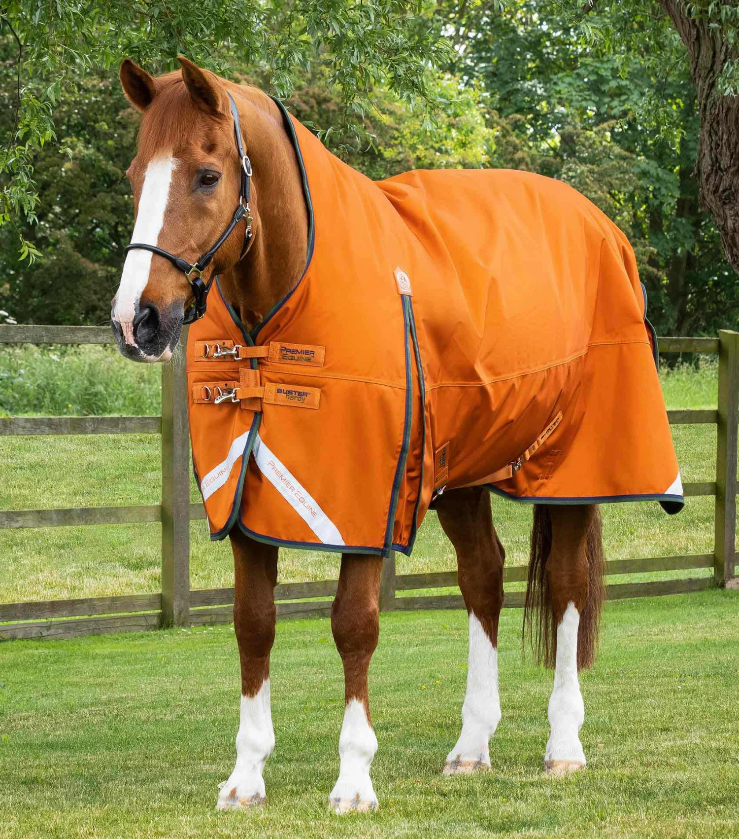 Buster Hardy 400g Half Neck Turnout Rug Buster Hardy 400g Half Neck Turnout Rug -Premier Equine Store Buster Hardy Burnt Orange 1