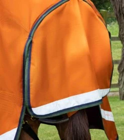 Buster Hardy 400g Half Neck Turnout Rug 6 Buster Hardy 400g Half Neck Turnout Rug -Premier Equine Store Buster Hardy Burnt Orange 6 ede1a659 9199 40f5 9c7a ebede65e45df