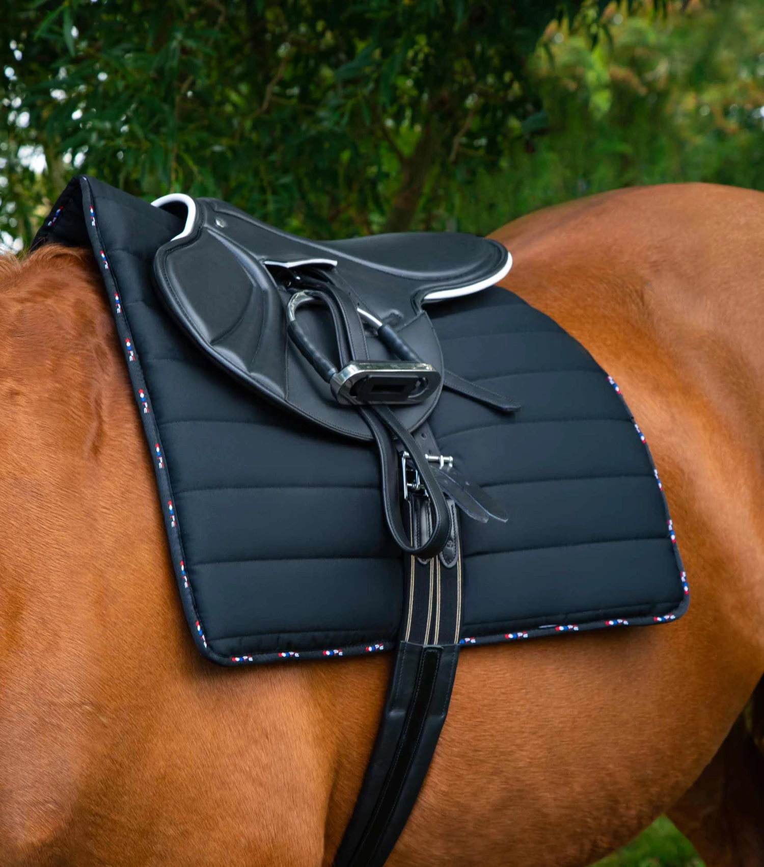 PE Exercise Racing Saddle PE Exercise Racing Saddle -Premier Equine Store Buster Pad Black 7