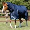 Buster Storm 100g Combo Turnout Rug With Snug-Fit Neck 2 Buster Storm 100g Combo Turnout Rug With Snug-Fit Neck -Premier Equine Store Buster Storm 100 Turnout Rug Navy 1 f4b564c3 19a7 4279 a30e 865b94eea32e