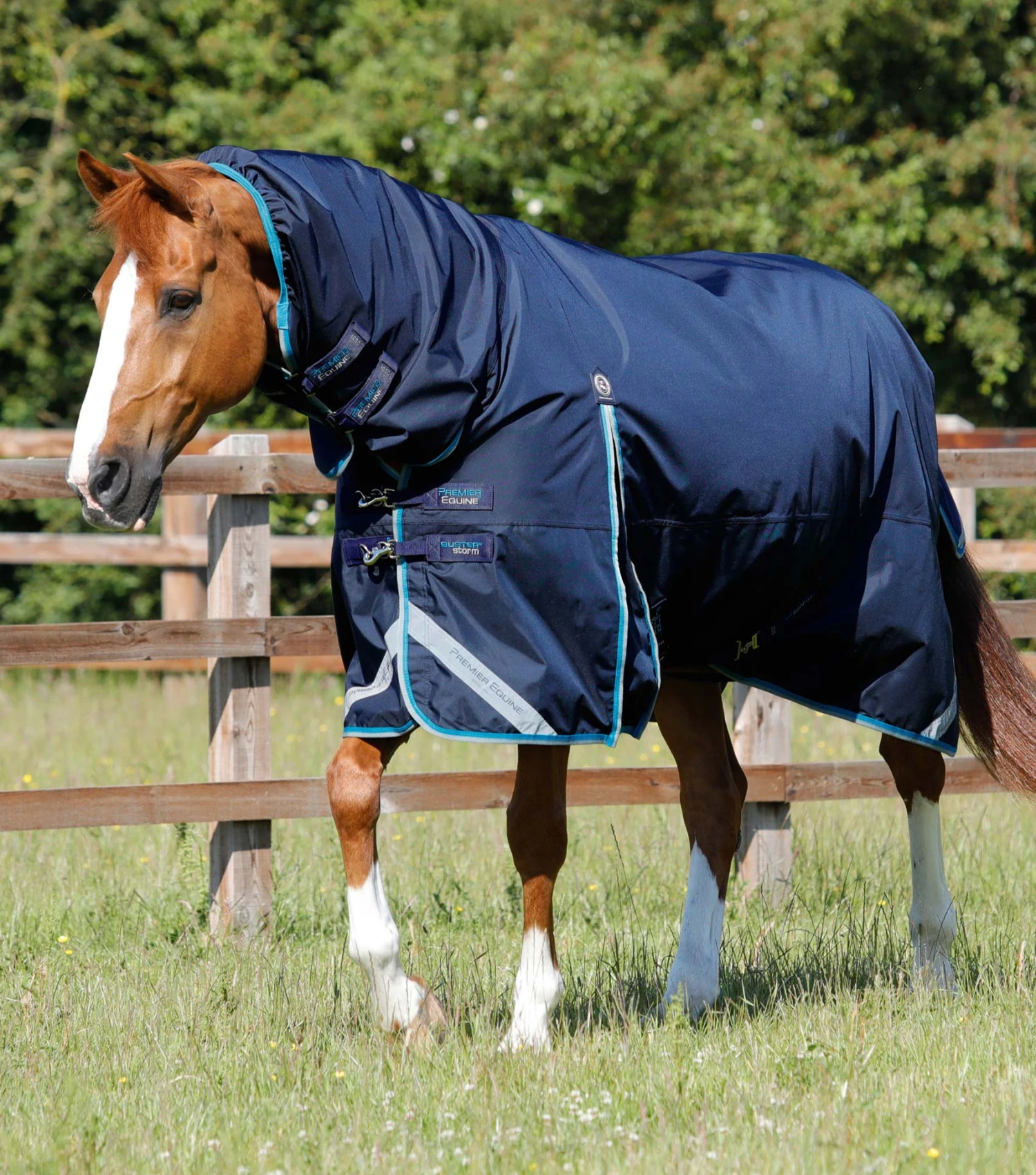 Buster Storm 100g Combo Turnout Rug with Snug-Fit Neck Buster Storm 100g Combo Turnout Rug With Snug-Fit Neck -Premier Equine Store Buster Storm 100 Turnout Rug Navy 1 f4b564c3 19a7 4279 a30e 865b94eea32e