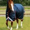 Buster Storm 200g Combo Turnout Rug With Snug-Fit Neck 1 Buster Storm 200g Combo Turnout Rug With Snug-Fit Neck -Premier Equine Store Buster Storm 200 Turnout Rug Navy 1