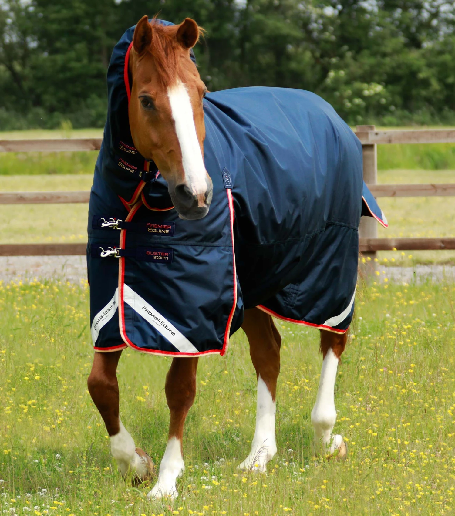 Buster Storm 200g Combo Turnout Rug with Snug-Fit Neck Buster Storm 200g Combo Turnout Rug With Snug-Fit Neck -Premier Equine Store Buster Storm 200 Turnout Rug Navy 1