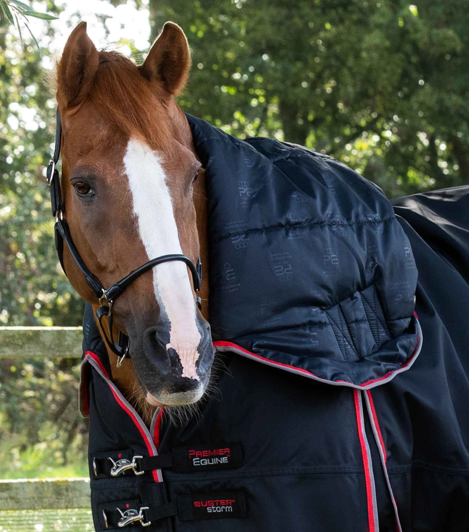 Buster Storm 400g Combo Turnout Rug with Snug-Fit Neck Buster Storm 400g Combo Turnout Rug With Snug-Fit Neck -Premier Equine Store Buster Storm 400 Turnout Rug Black 3