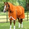 Buster Storm 400g Combo Turnout Rug With Classic Neck 2 Buster Storm 400g Combo Turnout Rug With Classic Neck -Premier Equine Store Buster Storm Burnt Orange 1