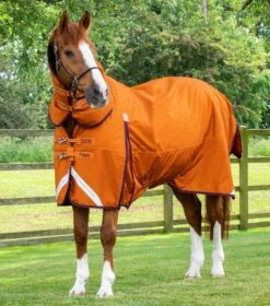 Buster Storm 200g Combo Turnout Rug With Classic Neck