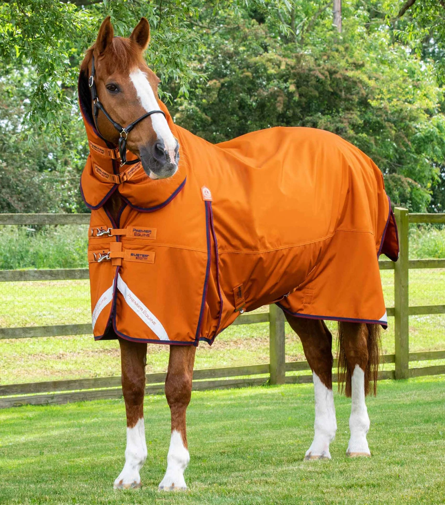 Buster Storm 200g Combo Turnout Rug with Classic Neck Buster Storm 200g Combo Turnout Rug With Classic Neck -Premier Equine Store Buster Storm Burnt Orange 1 Summer 022f1495 76f0 4f12 9dbe 21e2618253e5