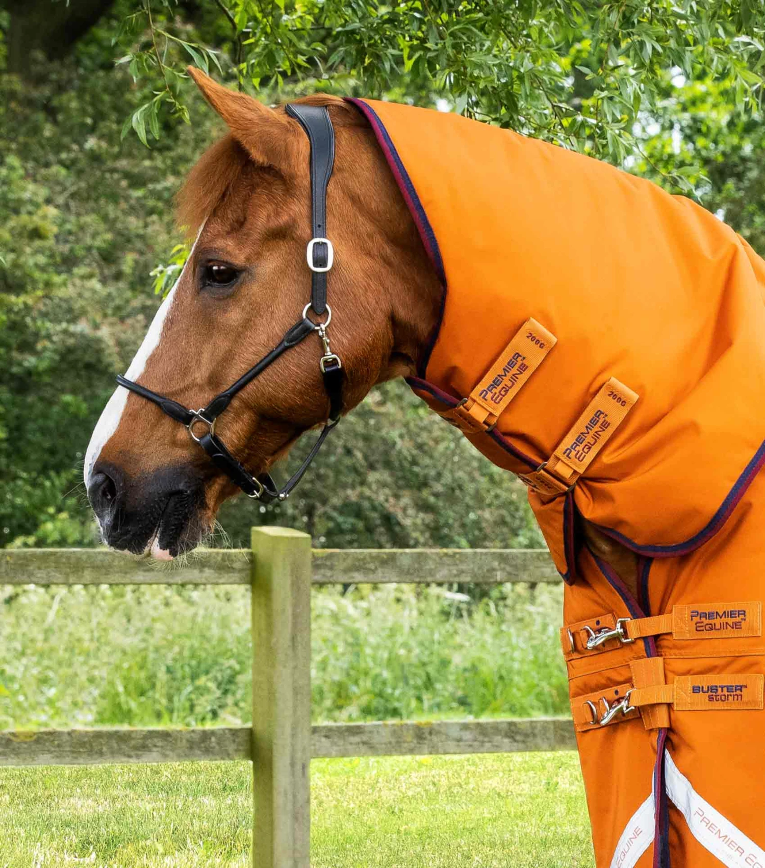 Buster Storm 200g Combo Turnout Rug with Classic Neck Buster Storm 200g Combo Turnout Rug With Classic Neck -Premier Equine Store Buster Storm Burnt Orange 2 Summer