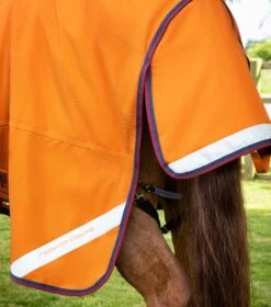 Buster Storm 200g Combo Turnout Rug With Classic Neck 6 Buster Storm 200g Combo Turnout Rug With Classic Neck -Premier Equine Store Buster Storm Burnt Orange 6 Summer