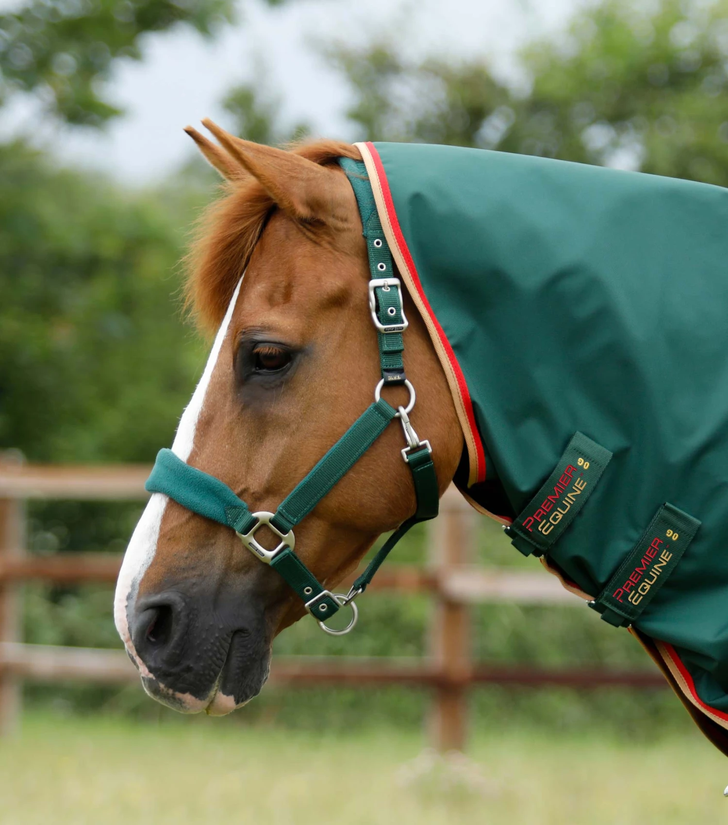 Buster Zero Classic Turnout Rug Neck Cover (0g Fill) Buster Zero Classic Turnout Rug Neck Cover (0g Fill) -Premier Equine Store Buster Zero Turnout Rug Green 3 8b567361 c46c 4942 ba69 152a90fe0b03