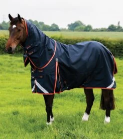 Buster Zero Turnout Rug With Classic Neck Cover