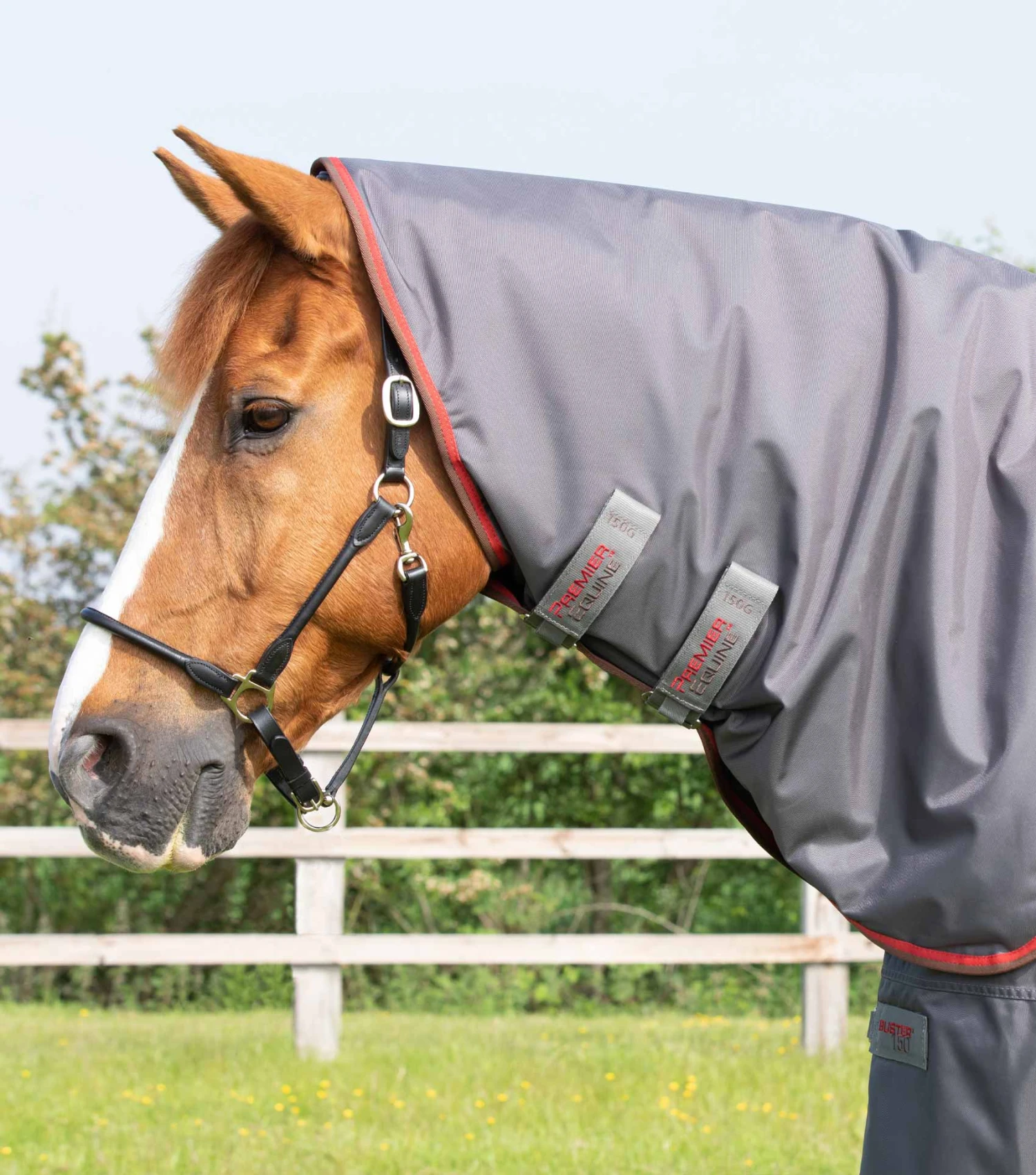 Buster 150g Classic Neck Cover (150g Fill) Buster 150g Classic Neck Cover (150g Fill) -Premier Equine Store Buster150 Grey Neck ad68d0ac 9243 4565 bf08 a711bc472c5c